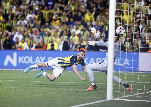 的方向发展 的方向发展